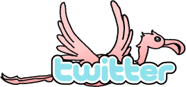 Follow the Flamingo on Twitter