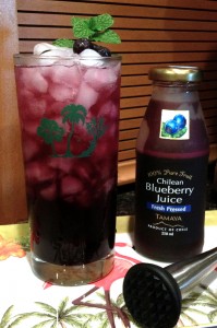 blueberry mojito