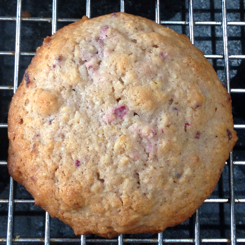 Cranberry Oat Cookies | Flamingo Musings